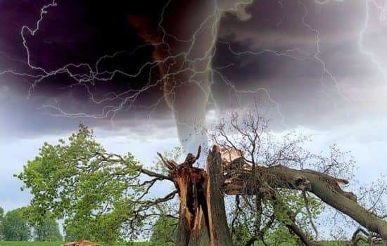 Tornado and lightning destroying a tree